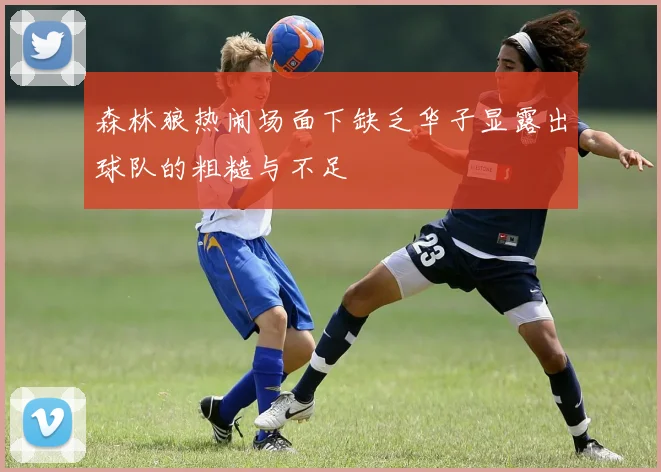 森林狼热闹场面下缺乏华子显露出球队的粗糙与不足