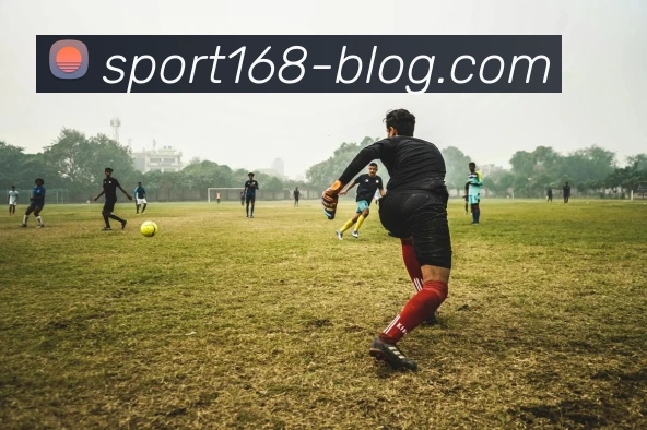 168体育平台生态图